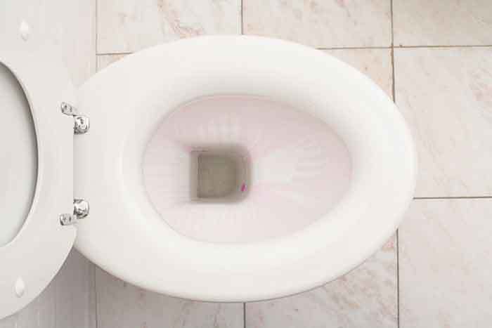 Toilet Bowl Not Filling With Water After Flush