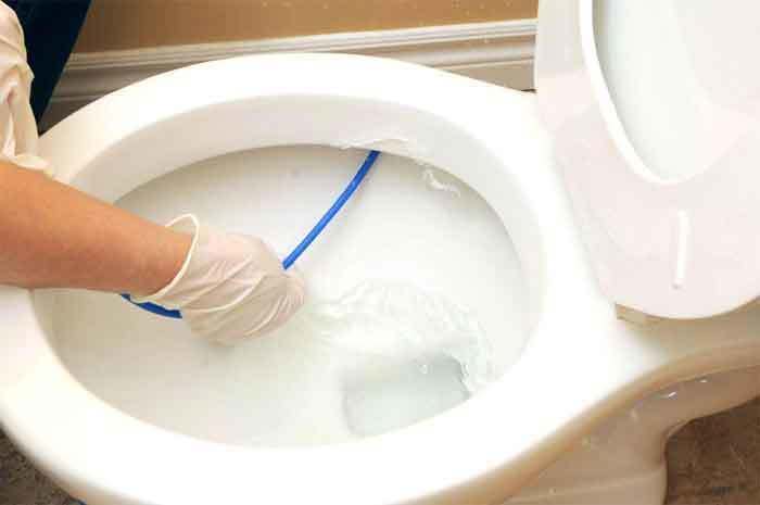 chemicals to unclog a toilet
