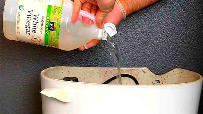 slow flushing toilet with vinegar