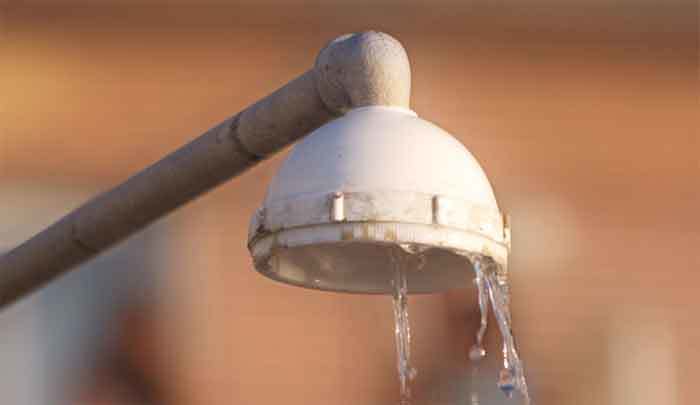 leaky-shower-head leaky-shower-head
