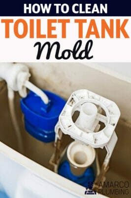 How-to-Clean-Toilet-Tank-Mold