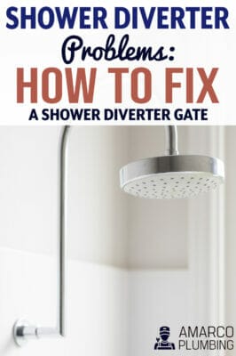 Shower-Diverter-Problems
