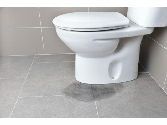 toilet leak (1)
