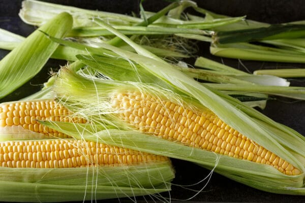 Fresh corn on black background