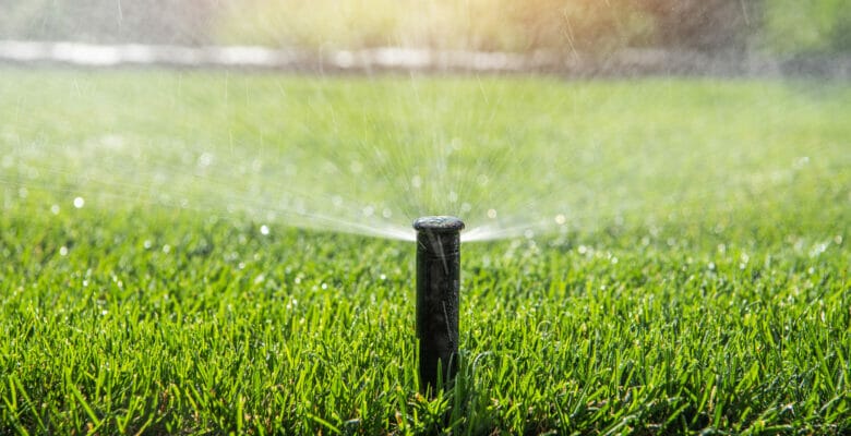 Garden Sprinkler Watering Theme