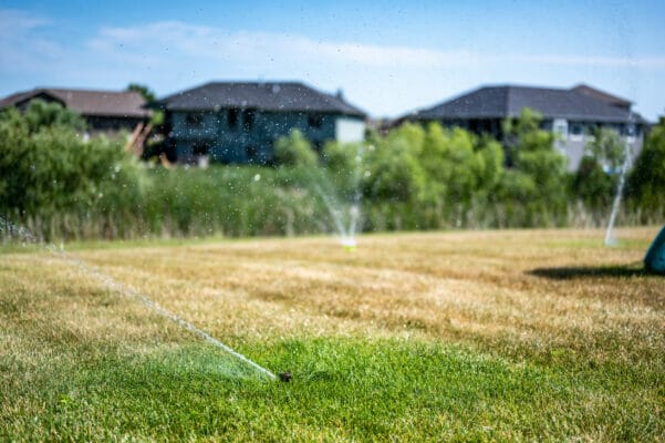 pop up automatic water sprinkler spraying jet across lawn. Fine dropplets across entire field of vision.