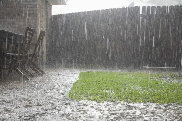 Heavy Rains In Backyard