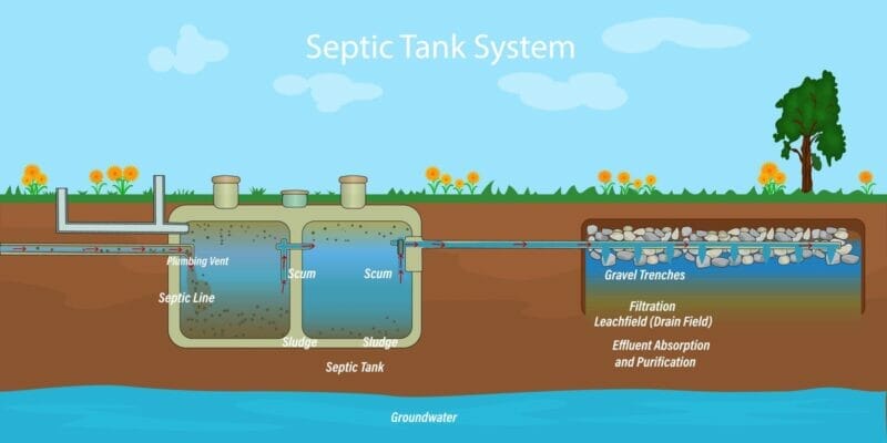 Are Long Showers Bad for Septic Systems? (Explained)